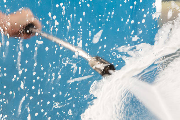 Best Roof Cleaning and Mildew Removal in El Paso, IL